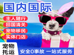 三沙航空货运国际宠物托运 【国